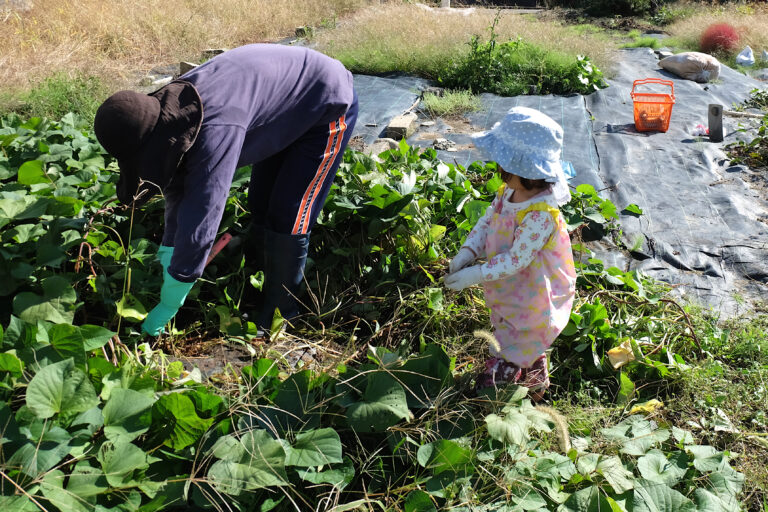 農作業・草刈りにおすすめな空調服®とは？夏の熱中症対策にも！