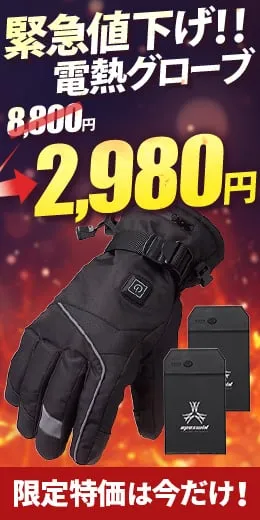 【急遽値下げ!1/29 ¥3,980→¥2,980】送料無料 ヒートグローブ